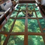 Glass bottom boat