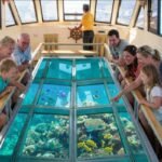 Glass bottom boat
