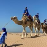 Quad bike and camel riding