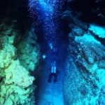 Diving in the canyon ( north dahab)wh