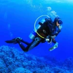 Diving from the beach